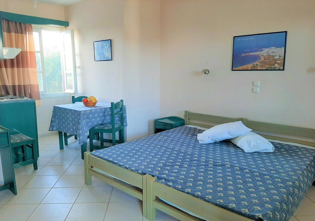 Joanna'S Rooms On The Beach Plaka  Exterior photo
